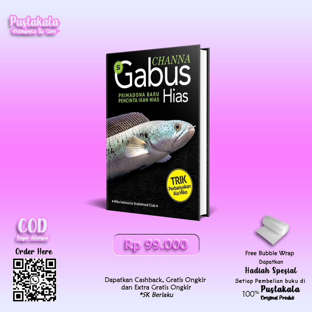 Channa si Gabus Hias