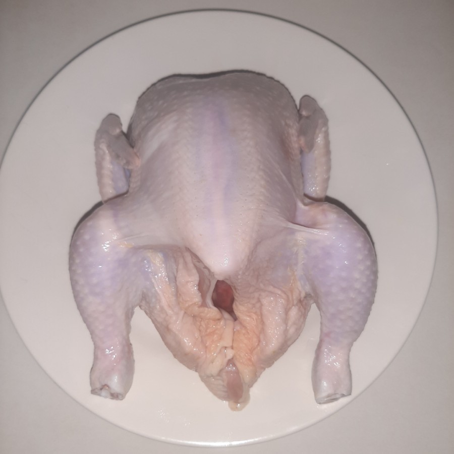 

Daging Ayam Broiler Fresh Murah