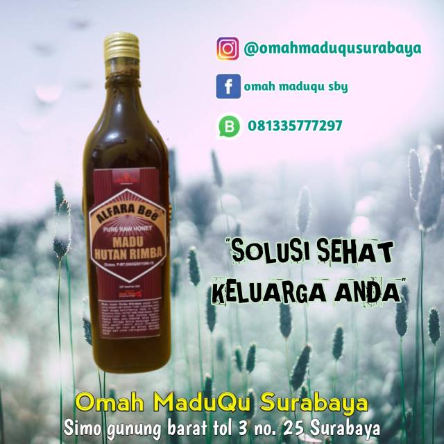 

Madu Hutan Rimba Alfarabee