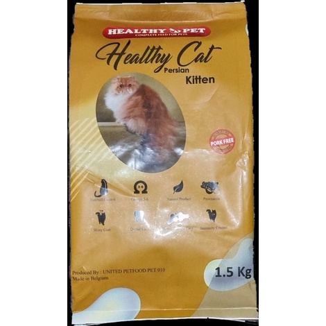 healthy cat kitten persian