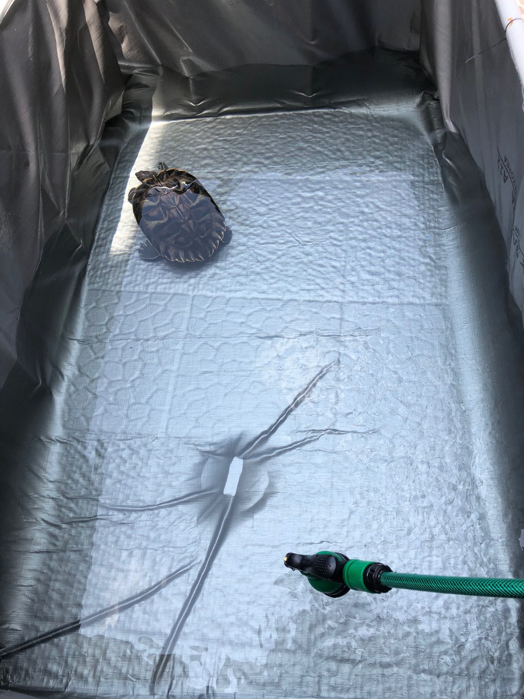 Kolam Terpal Ikan Mini Ukuran ( 130×80×60cm ) Sejuta% Original Type A12 Cocok Untuk Budidaya Ikan