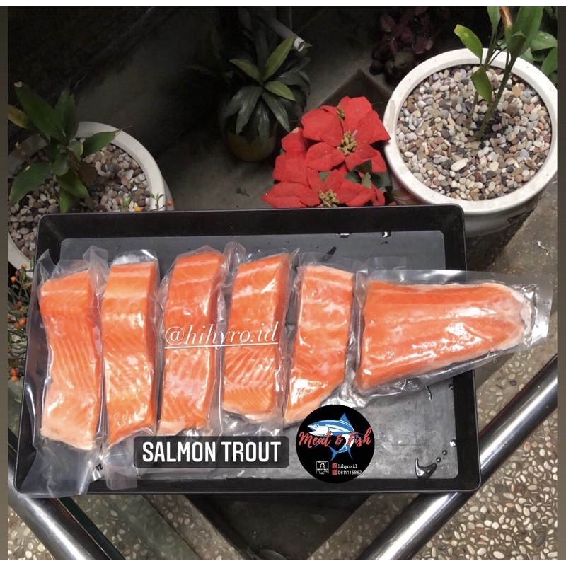 

SALMON TROUT FILLET | PORTION