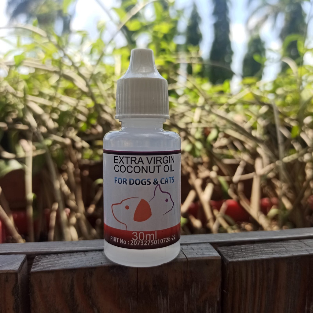 VCO Minyak Kelapa Anjing dan Kucing 30 ml