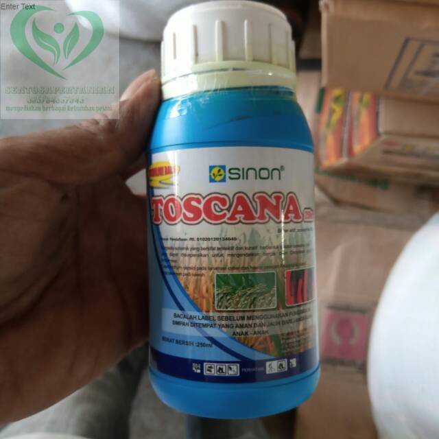 fungisida TOSCANA 250SC 250ml dari SINON