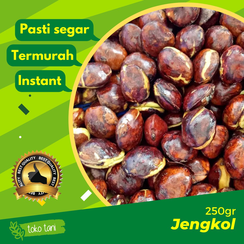 

Jengkol 250gr