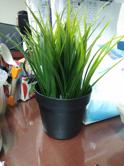 Fejka Tanaman Rumput Tiruan Dalam Pot