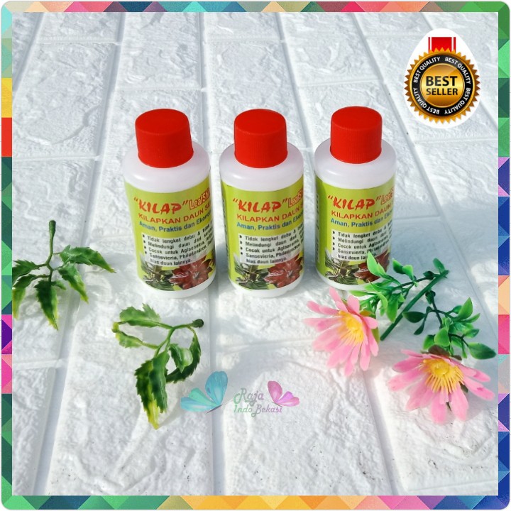 Air Kilap Daun Oles Pupuk Daun Leafshine Super Fresh  Pengkilap Pengkilat Daun Anthurium Aglonema