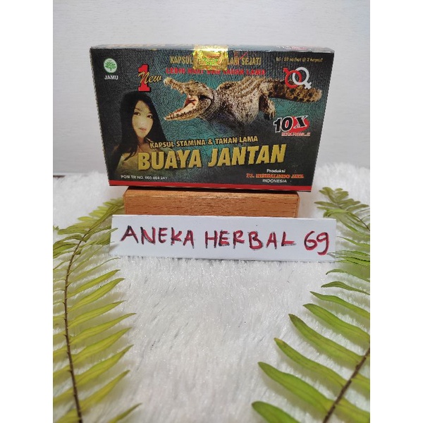 Buaya jantan