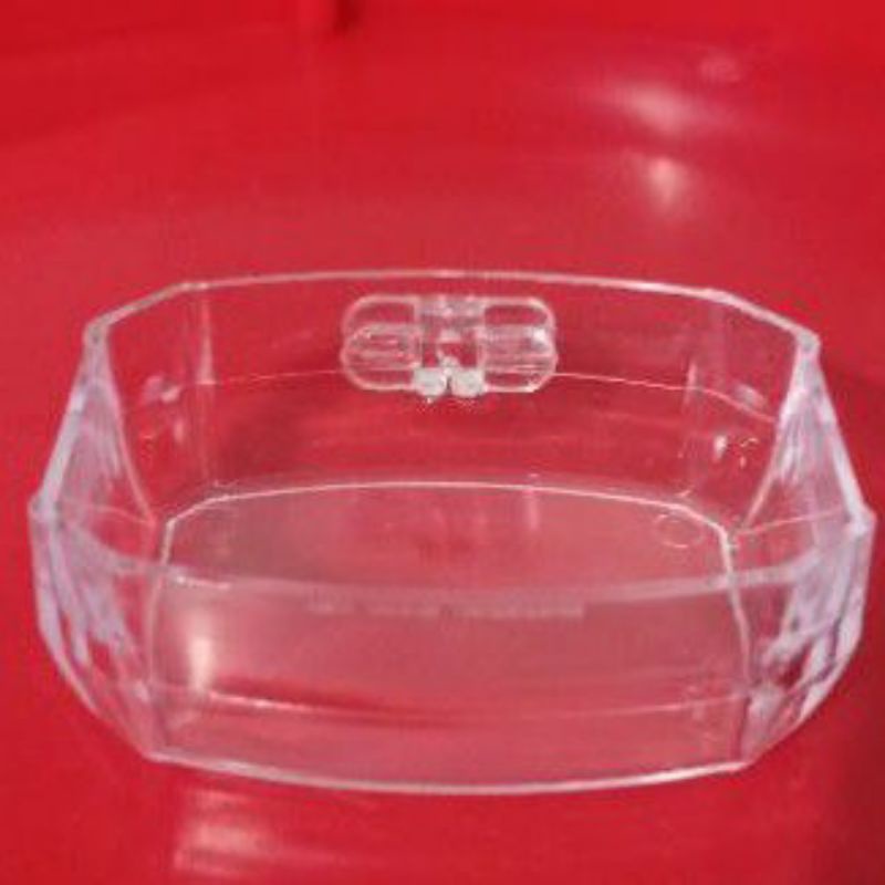 cepuk mandi burung burcil Ellite song Kolibri pleci sogon muncang wulung konin ninja dll