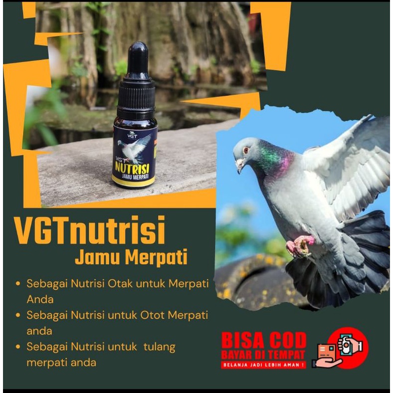 BISA COD | VGT NUTRISI JAMU MERPATI KOLONGAN | ORGANIK 100%