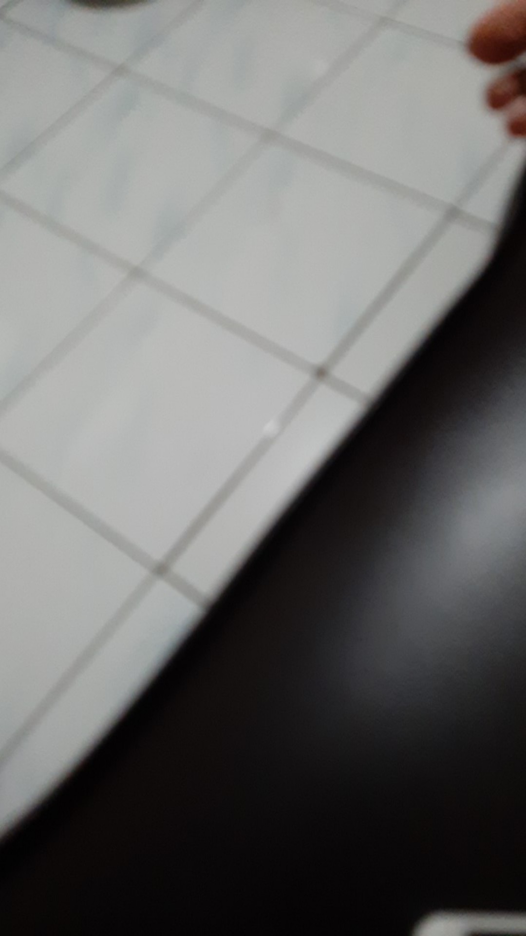 Loyang Pizza Mini/bolu Gulung/pie Bali