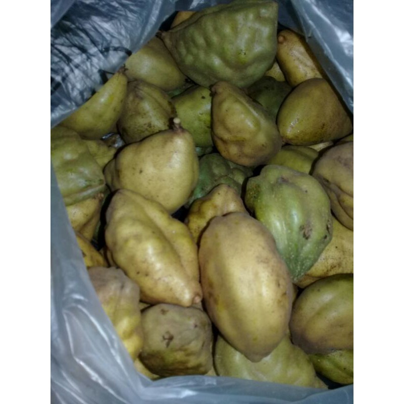 

nam nam pukih