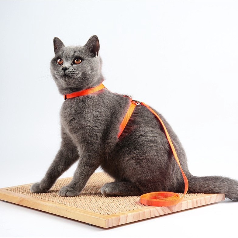 Harnes Type H / Harness Tali Tuntun Anjing Kucing Katzen Praktis