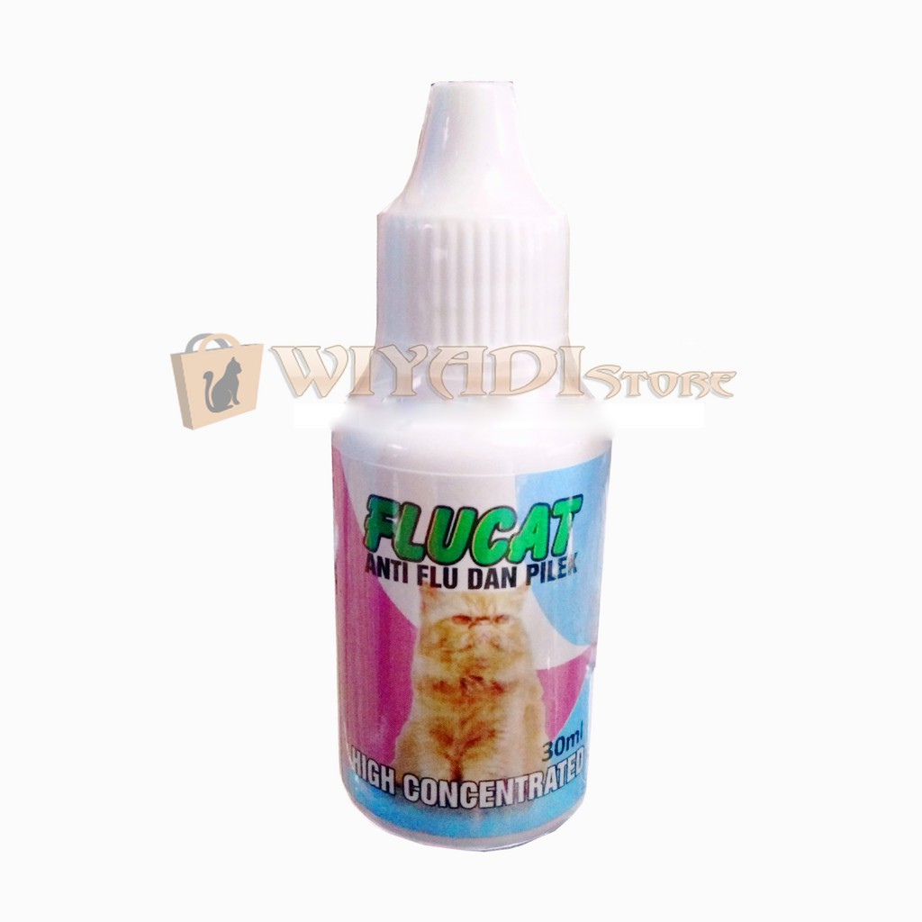 Flucat Obat Flu Pilek Meriang Kucing dan kitten