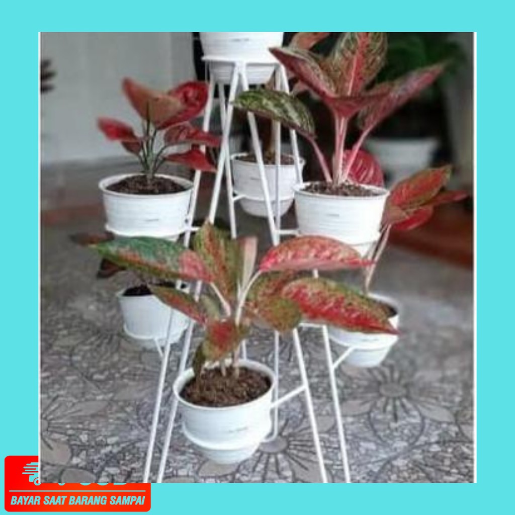 Tempat Pot Tanaman Bunga 7 Lubang Standing Planter Hiasan Tanaman Rak Pot Besi Tempat Pot Bunga