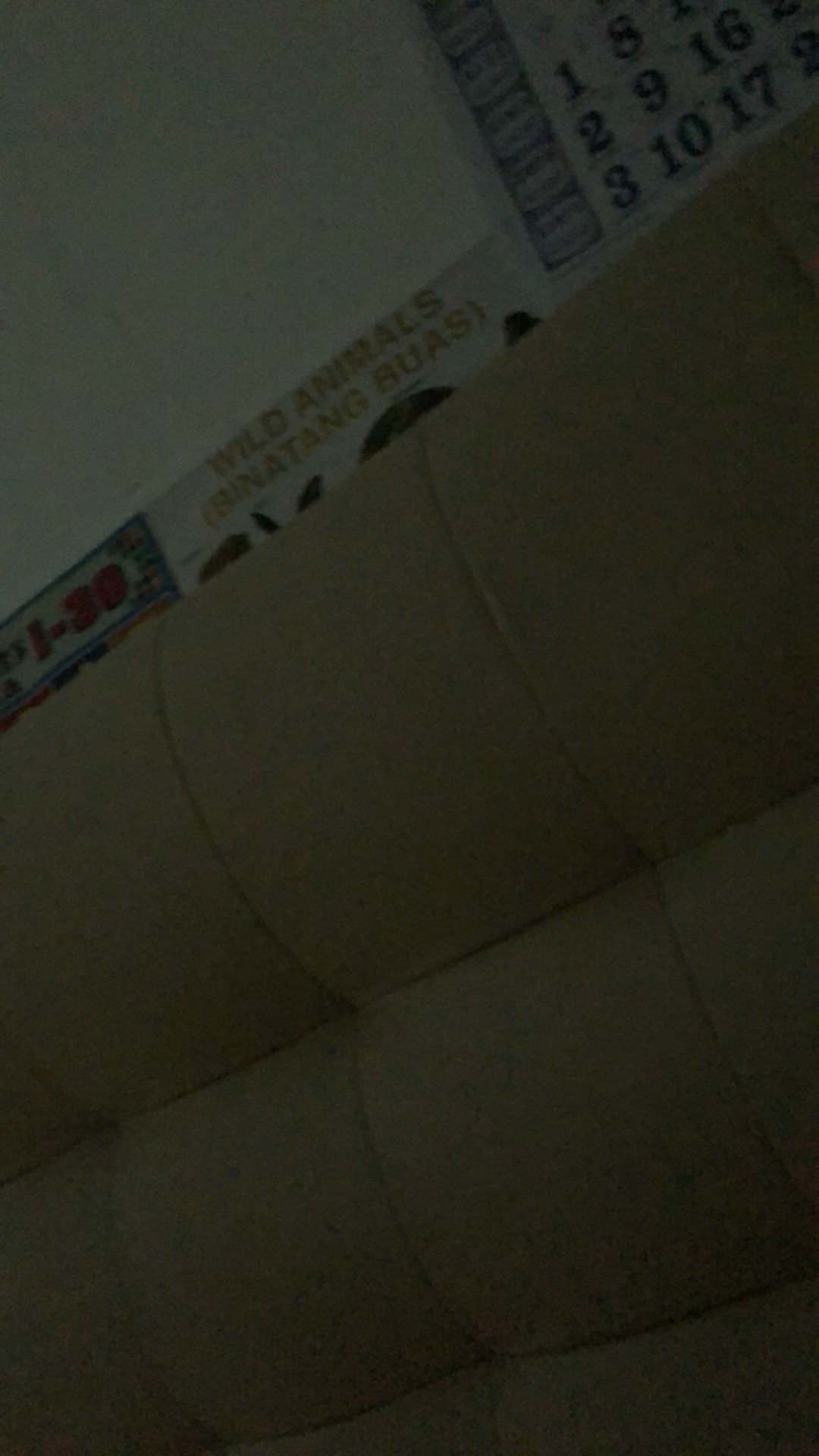 Spon/spons Cuci Piring Warna Warni