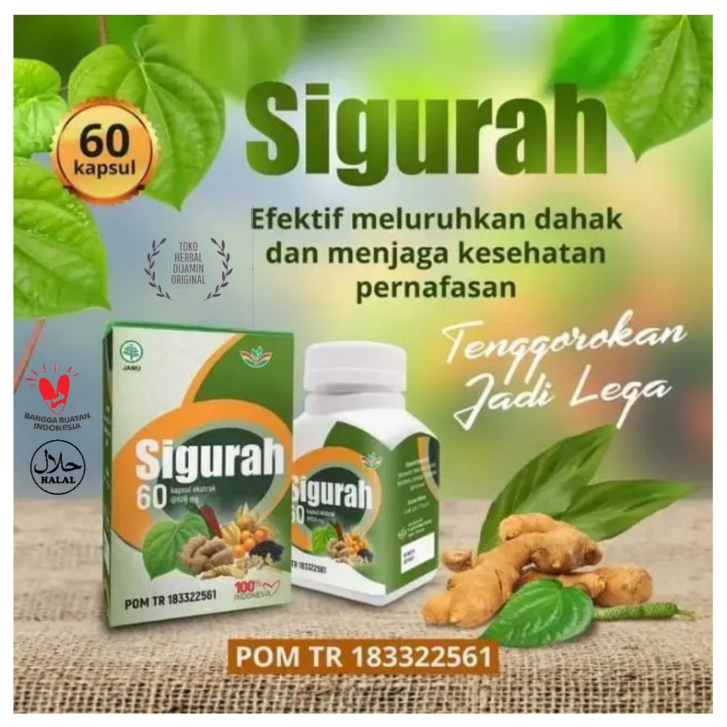 SIGURAH 60 Kapsul Ekstrak | Herbal Gurah Pernapasan & Dahak POM TR 100% Original