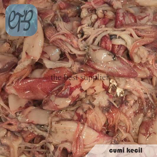 

Cumi Kecil Segar