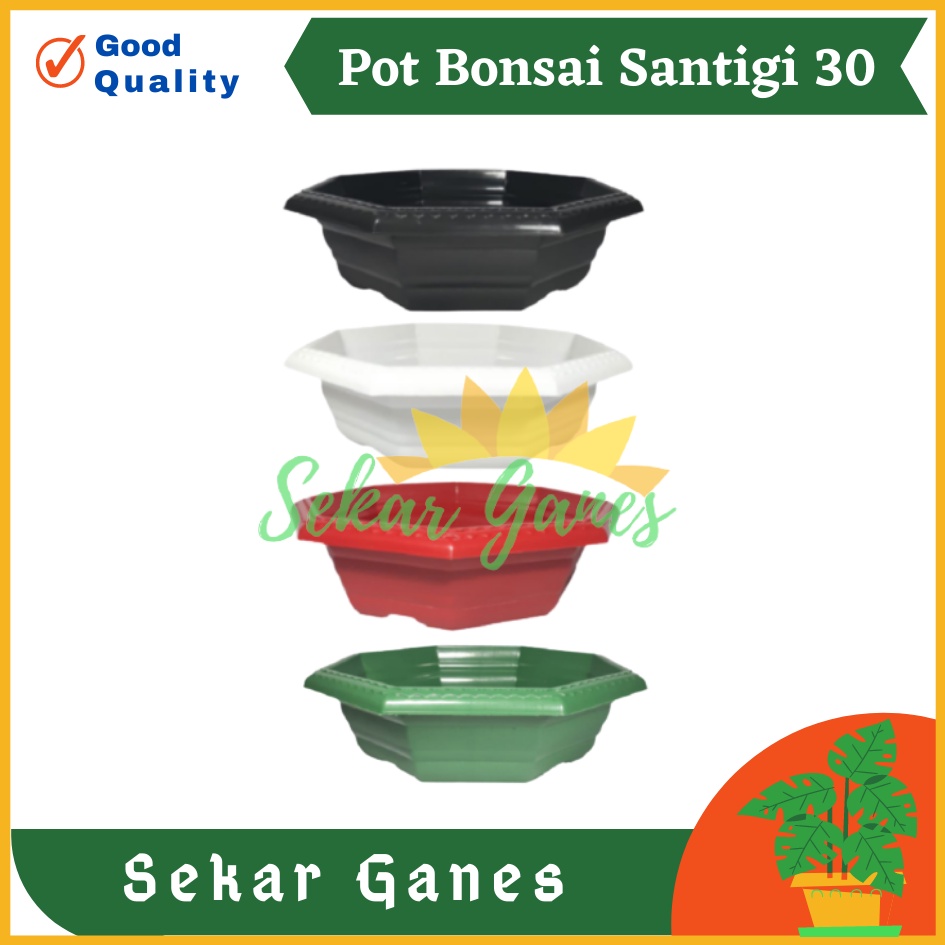 Pot Bonsai Santigi 30 Warna Warni Bonsai Segi 8 By Garden Of Love Pot Bonsai Kotak Ceper Kelapa