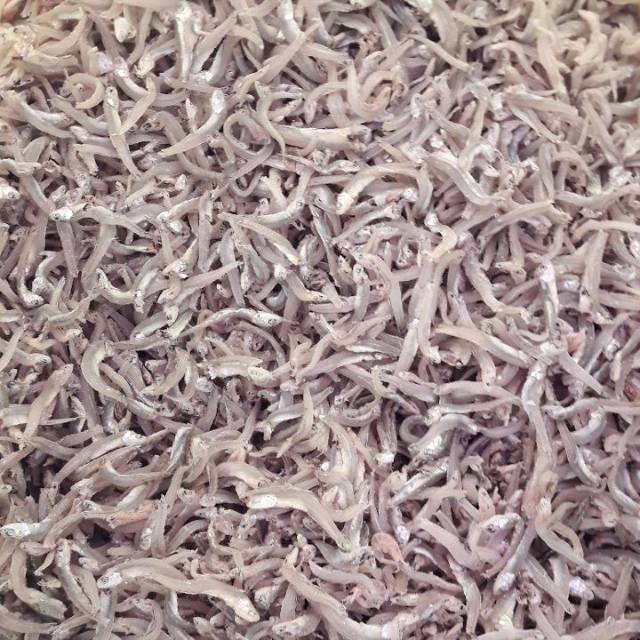 

teri jengki grade super tanpa pengawet 110 k berat 500 gram