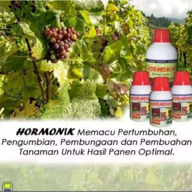 SSS Hormonik  Nasa Hormon Organik isi 500 cc Hormonik Besar
