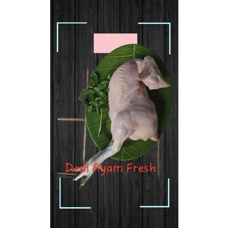 

AYAM_BROILER(1KG)