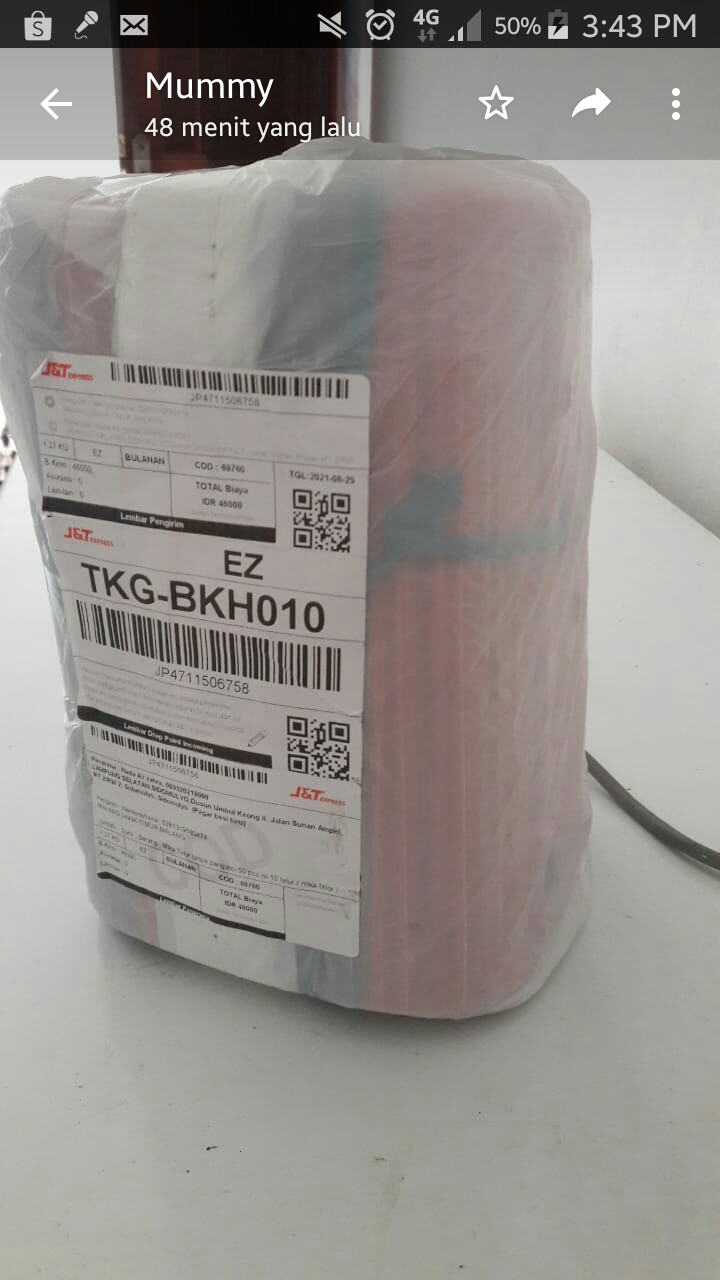 Mika Telur Tanpa Pengunci 50 Pcs Isi 10 Telur / Mika Telor / Tempat Telor