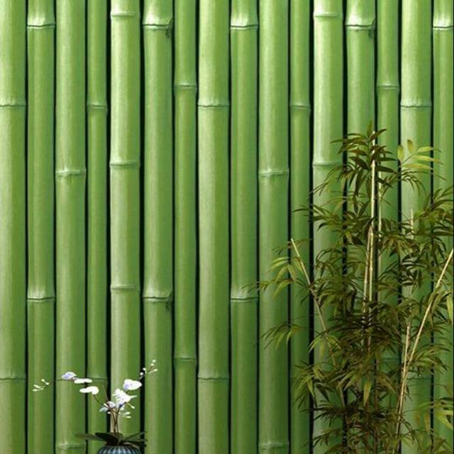 Wallpaper dinding murah bambu 3D hijau elegan best seller 10 meter x 45 cm