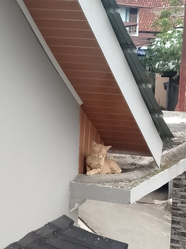 Tunic Ziggy Tali Bunga Lawasan Zigzag Batik Tunik Aluna Marini Seragam Kerja Kantoran Baju Jumbo