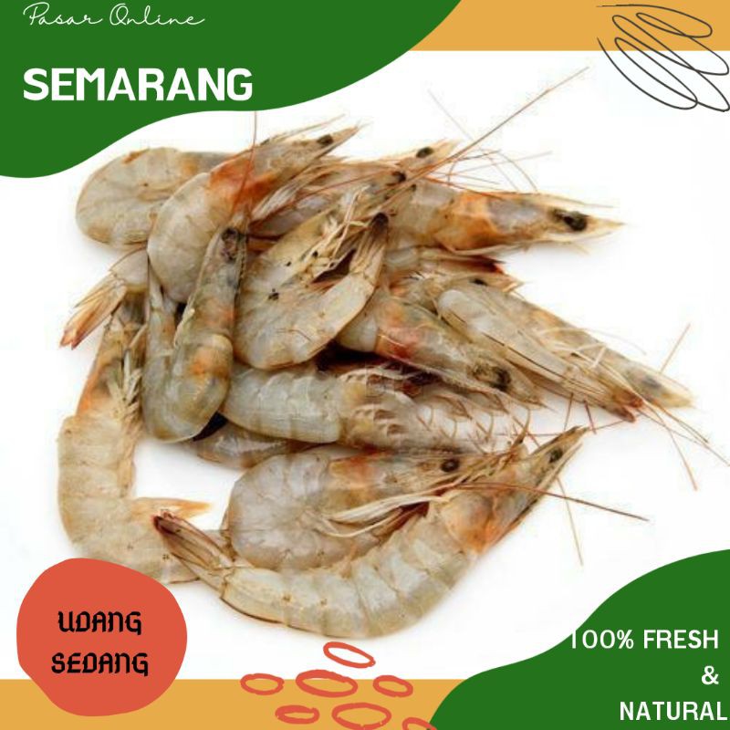

Udang Sedang / Segar / Fresh / Belanja Ikan Semarang / Murah / Belanja Seafood /Sea Food Semarang