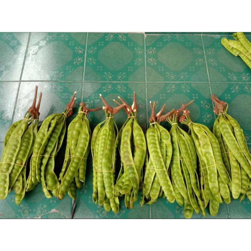 

pete pare asli pangandaran