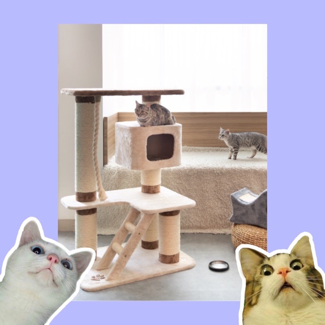 Jual Cat Condo Rumah Kucing Cat House Garukan Kucing Besar Katze Indonesia Shopee Indonesia