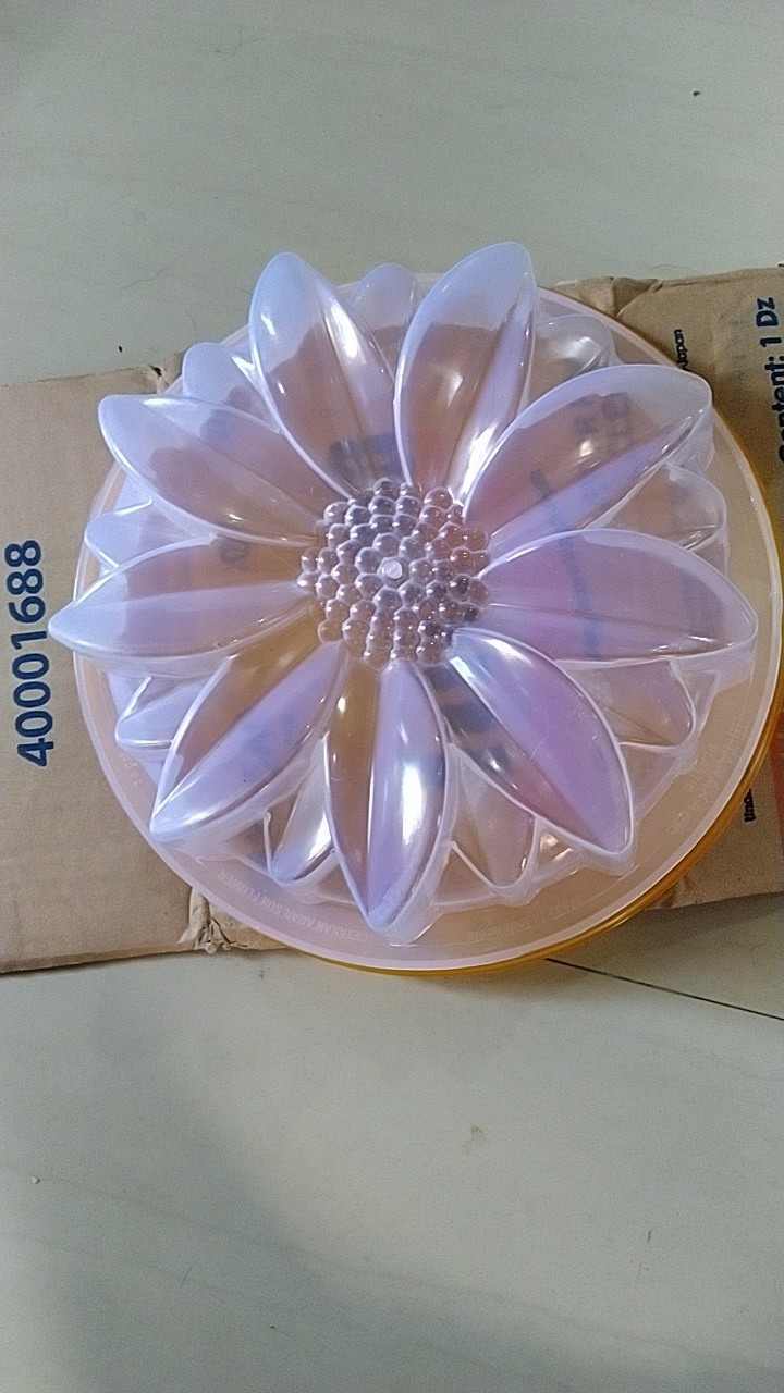 Cetakan Matahari + Tutup