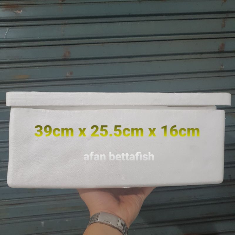 Styrofoam Box Kecil / Styrofoam Fish Box 5KG