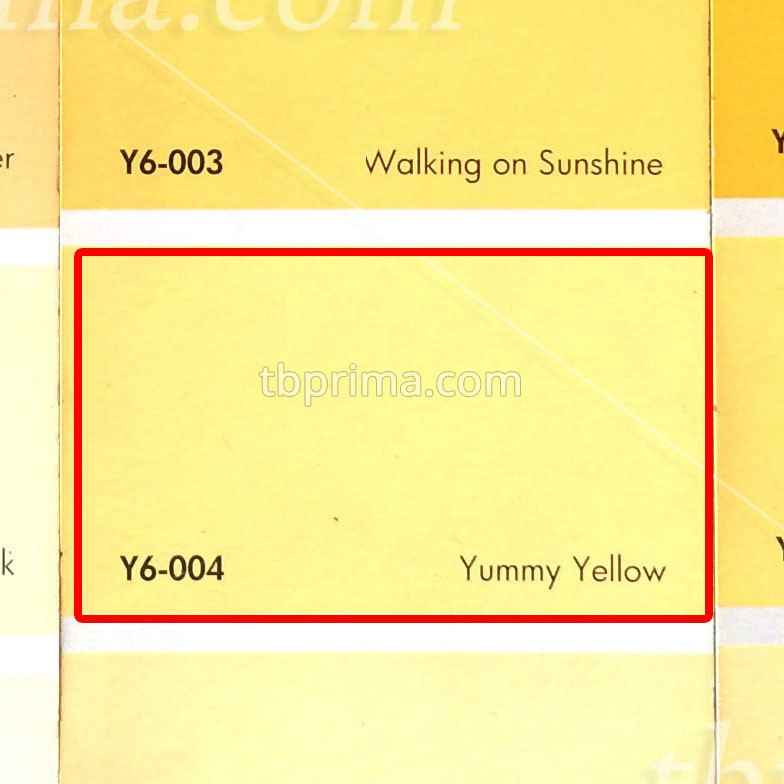 No Drop Tinting Y6-004 Yummy Yellow 1 kg