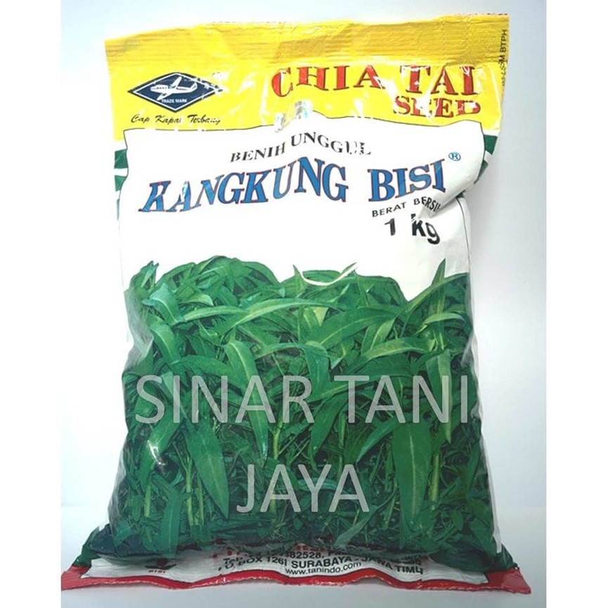 BENIH UNGGUL KANGKUNG BISI