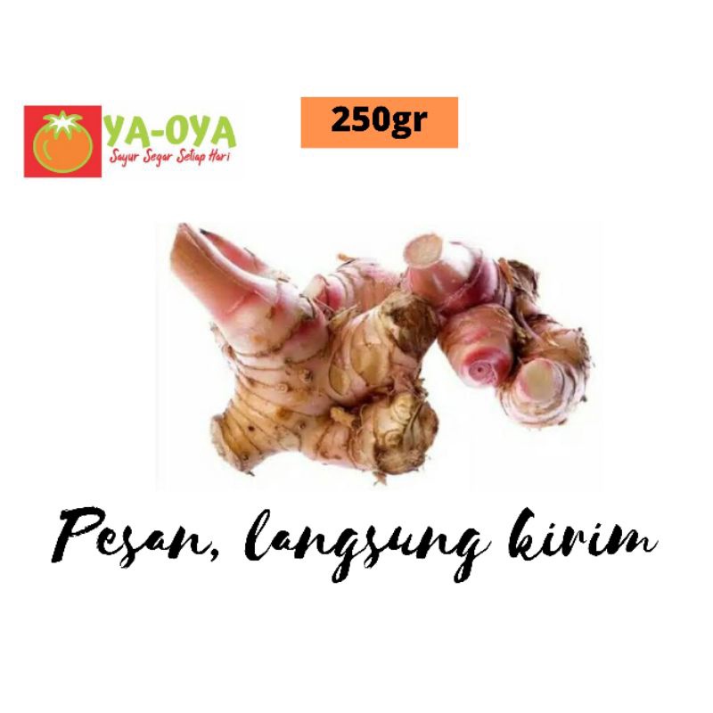 

LENGKUAS / LAOS 250gr