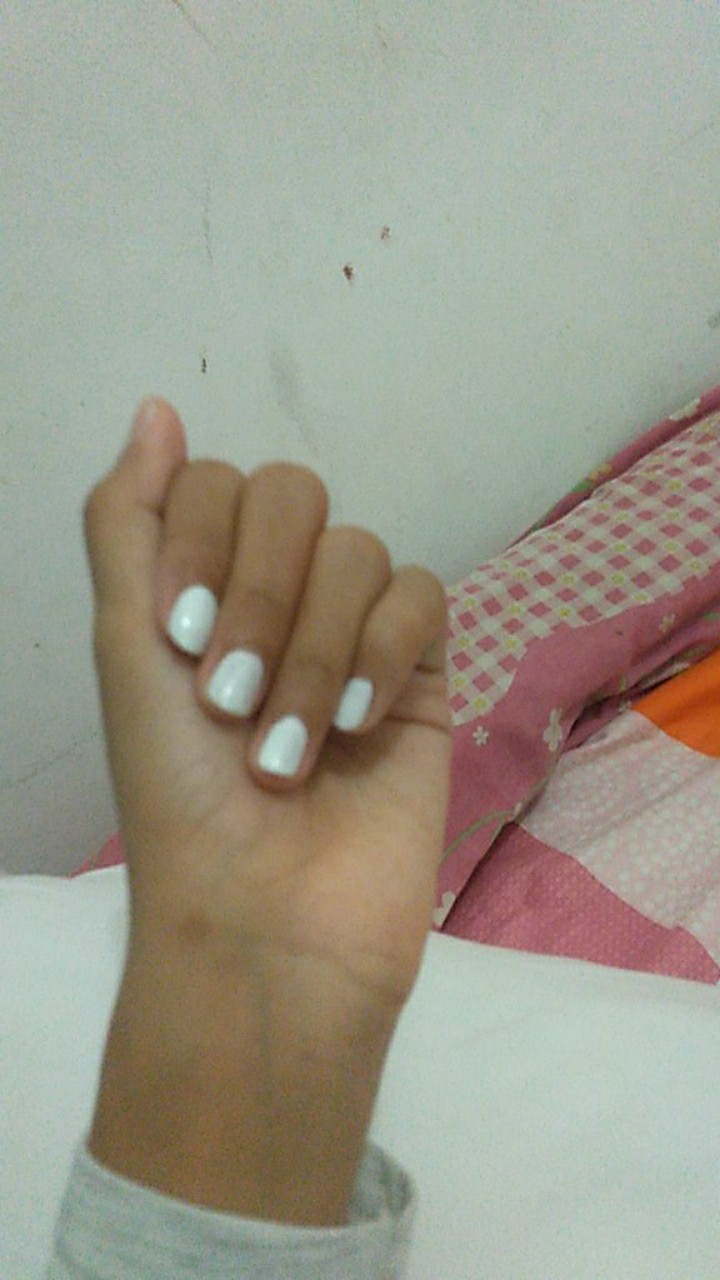 Pilox Diton 300ml Warna Standar (bukan Crom Dan Anti Panas)