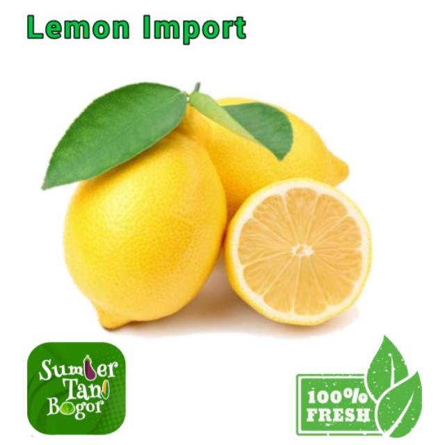 

LEMON IMPORT - Per 1 Kg