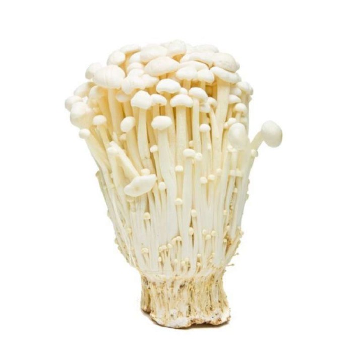 

Jamur Enoki Fresh Korea Import 100gram