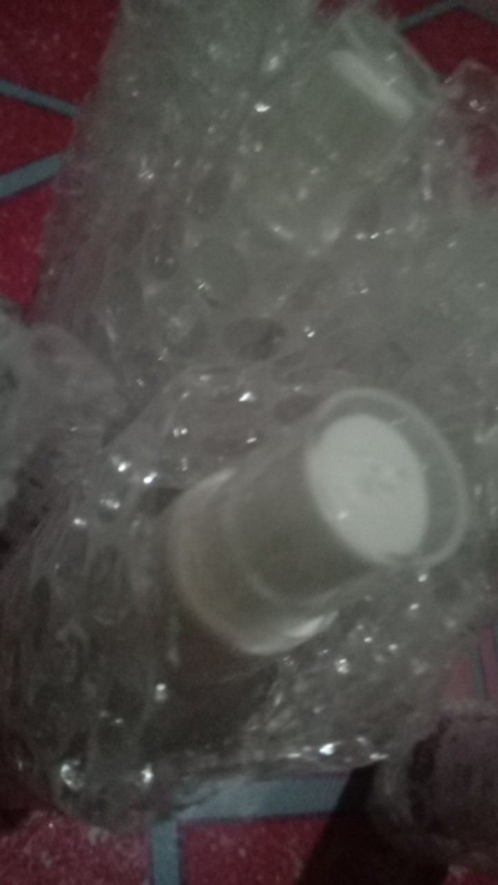 Bibit Anggur Hijau Belgia