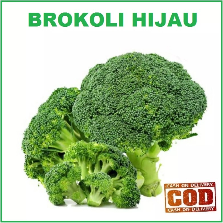 Bisa bayar di tempat - BROKOLI HIJAU - 8 pcs - 20 biji / bibit / benih BROKOLI HIJAU - seed sayur / 