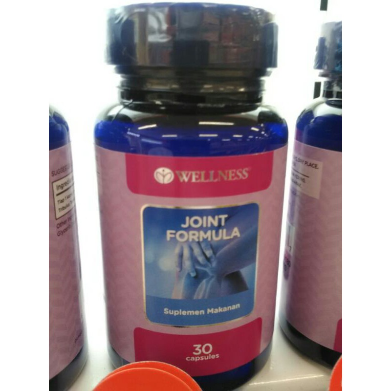 Wellness joint formula isi 30