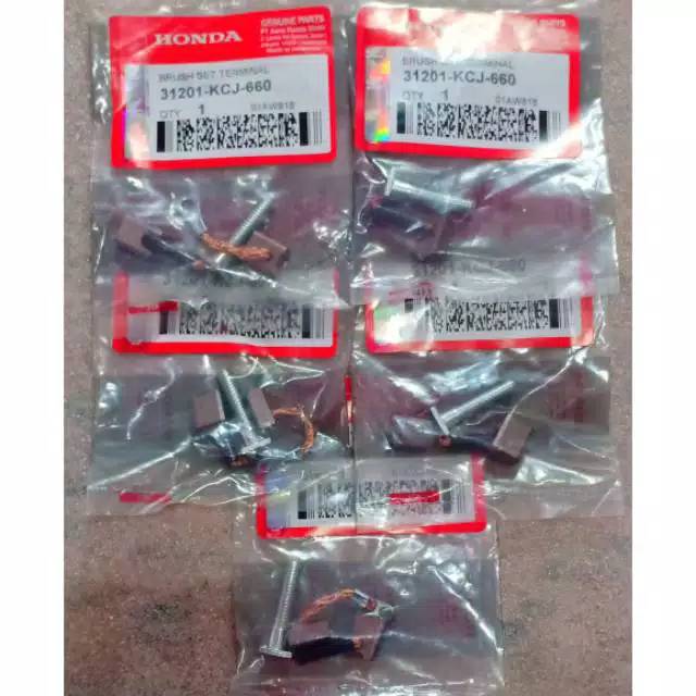 ARANG STATER / COOL STATER TIGER