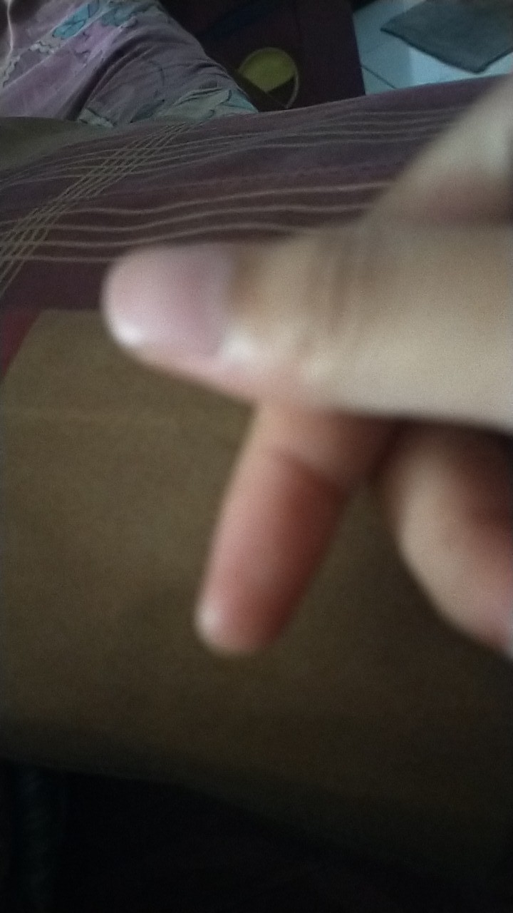 Link Co Pesanan Live 7