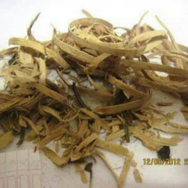 

Herbal Bidara Laut Kayu Ular Dara Putih 250 Gram