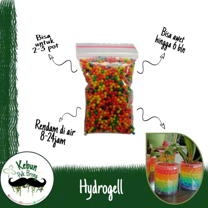 Hidrogel media tanam