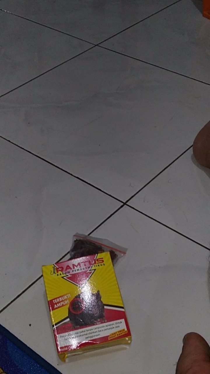 Racun Tikus Ramtus Asli Alami Mati Kering Tidak Bau Pembasmi Pengusir Tikus Super Paling Ampuh 1pack
