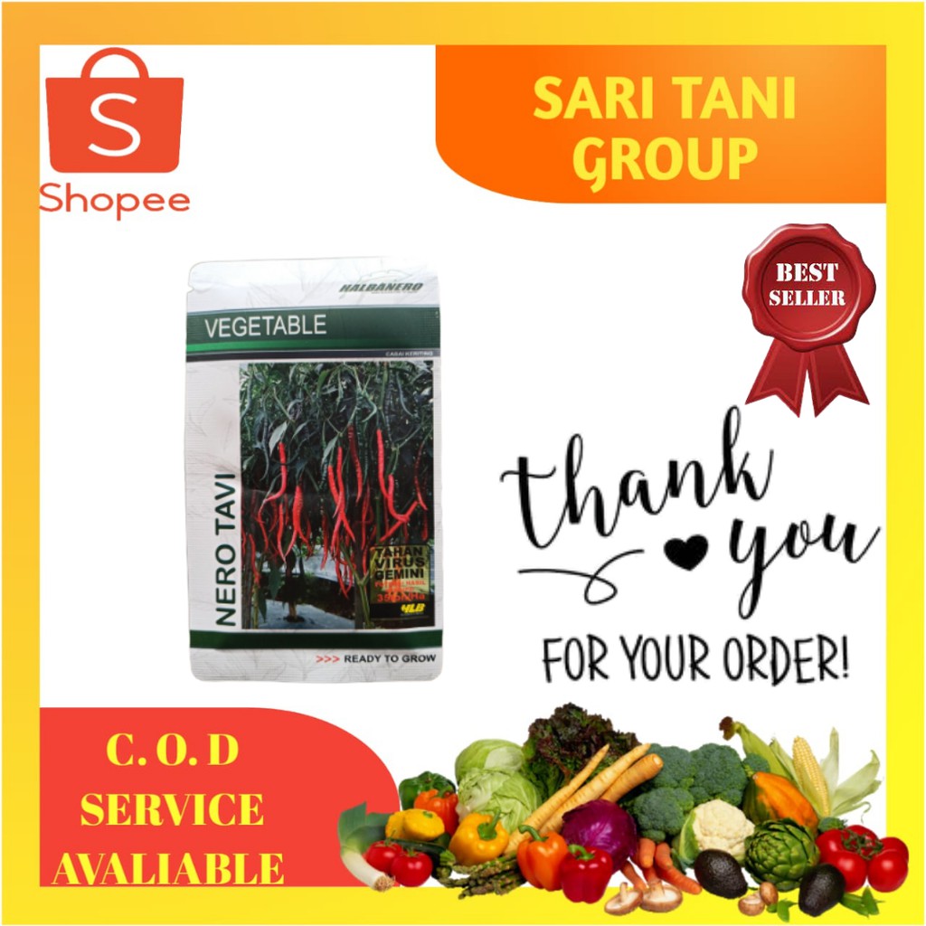 Benih Cabe Keriting Nero Tavi 10 Gram