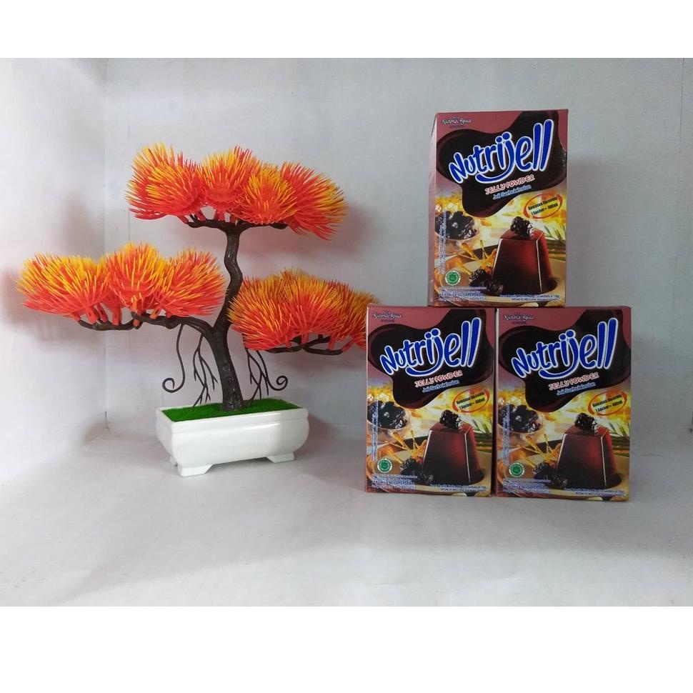 

TELAH HADIR Nutrijell Agar Kurma Ajwa 10gr 1 Box Agar-Agar Nutrijel Varian Buah Kurma Jelly Powder Kemasan Ekonomis ☼ 877